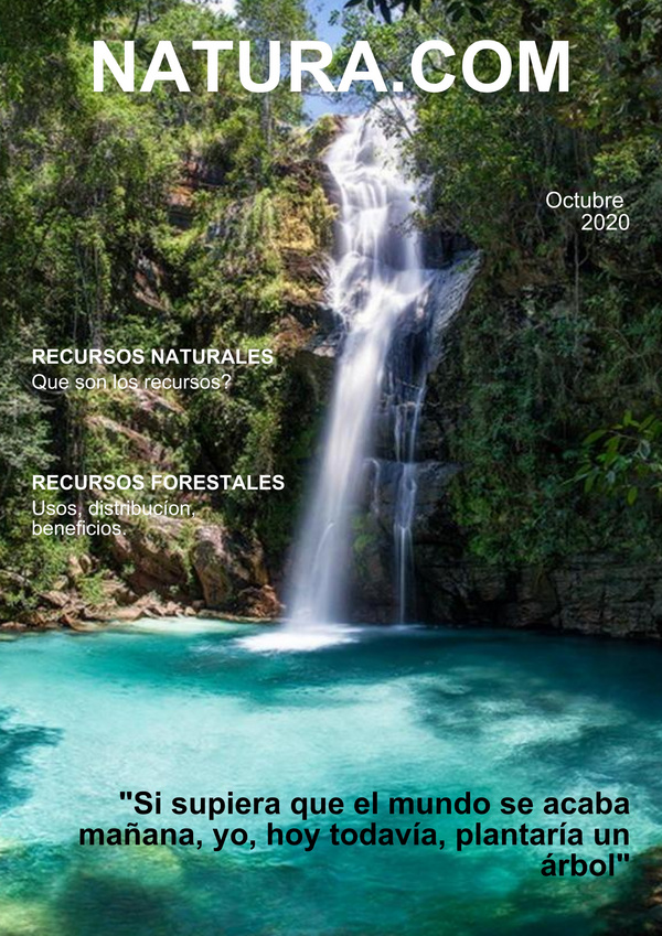 Natura - Recursos forestales - A magazine created with Madmagz