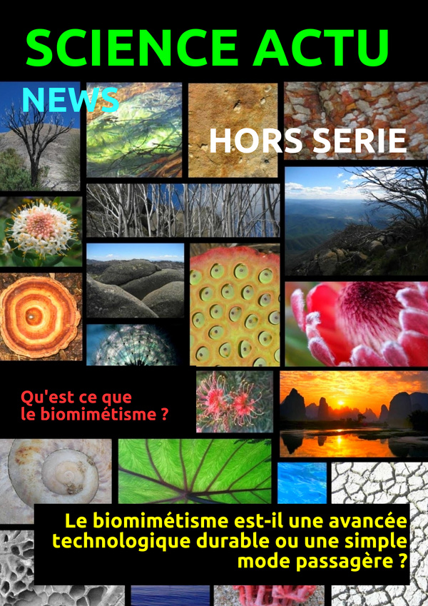 Science Actu Hors Série Magazine Créé Avec Madmagz